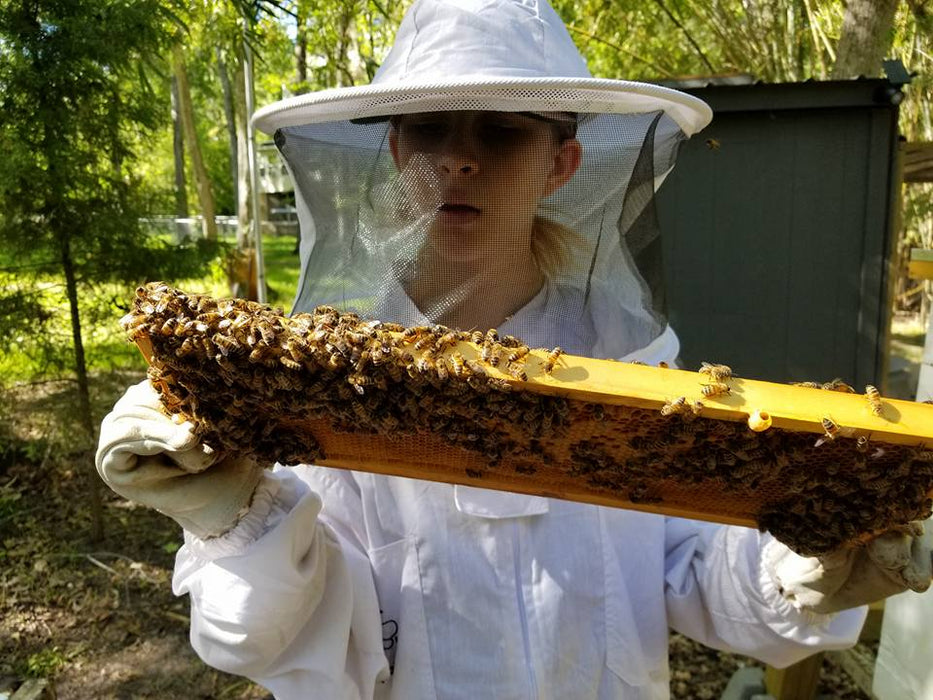 Raw Honey 10oz