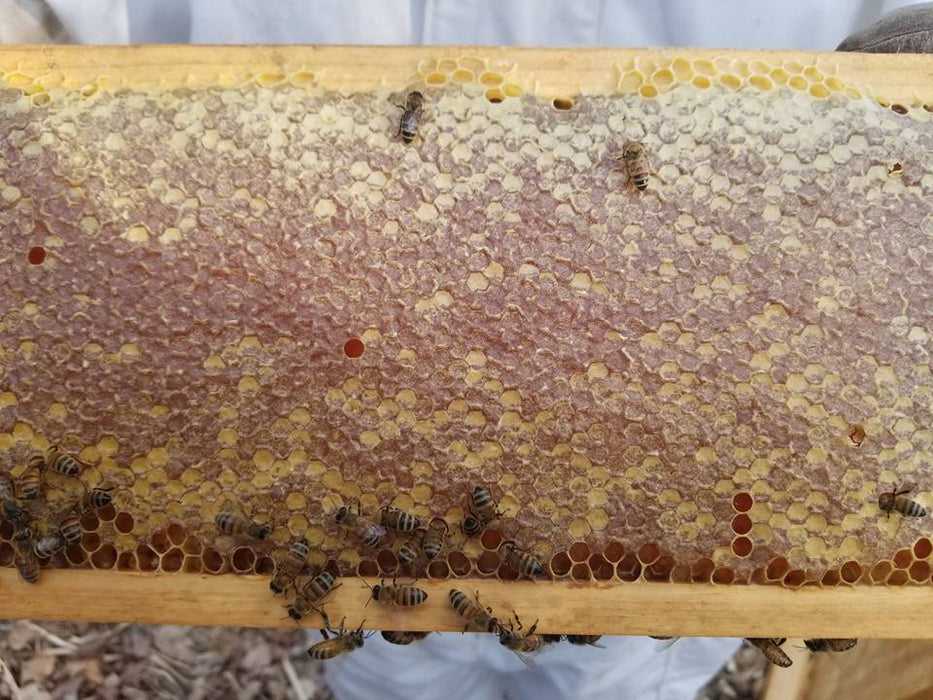 Raw Honey 10oz